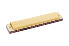 Load image into Gallery viewer, Festival 21 Gold